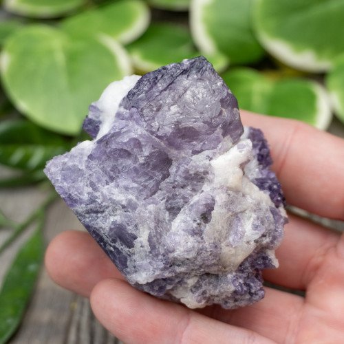 Purple Scapolite #1