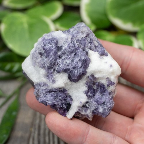 Purple Scapolite #1