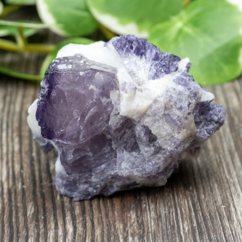 Purple Scapolite #1