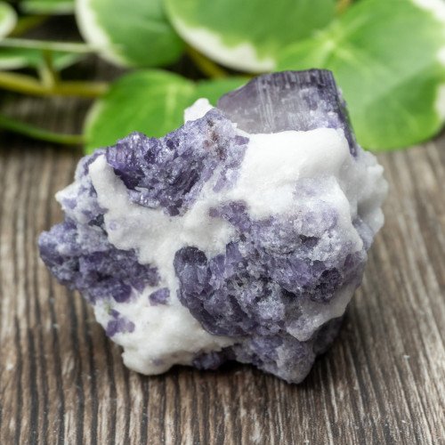 Purple Scapolite #1