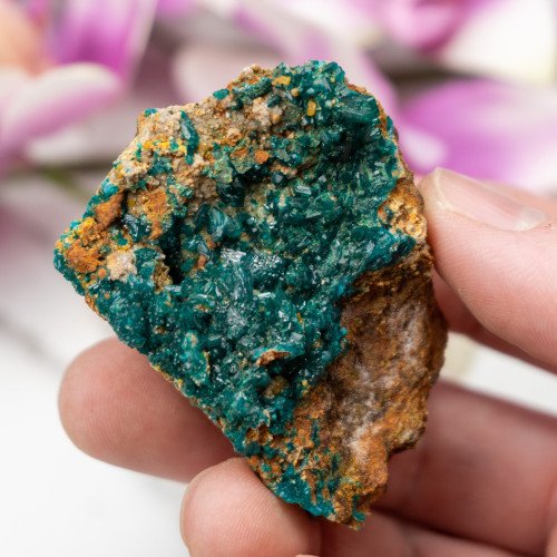 Dioptase #8