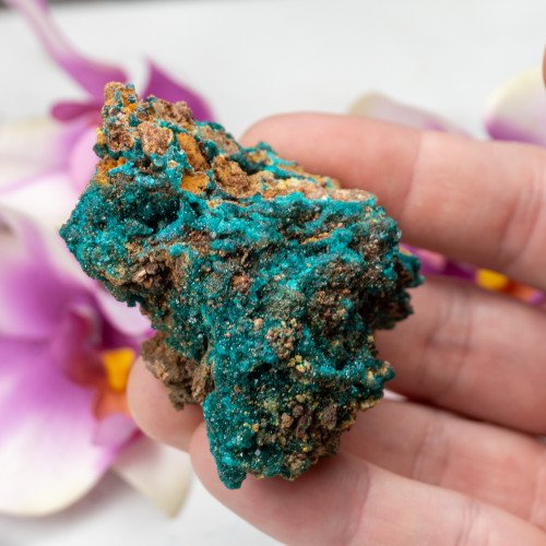 Dioptase with Mimetite #6