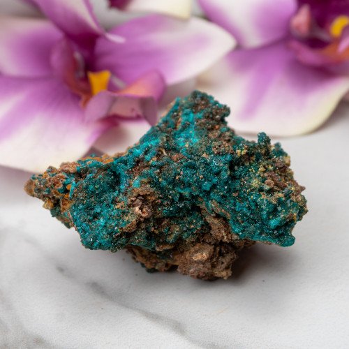 Dioptase with Mimetite #6