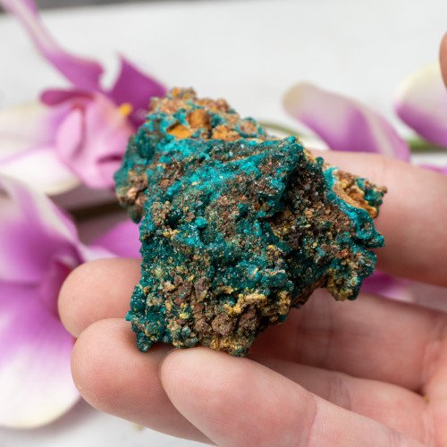 Dioptase with Mimetite #6