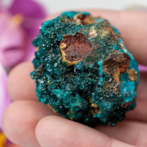 Dioptase with Mimetite #3