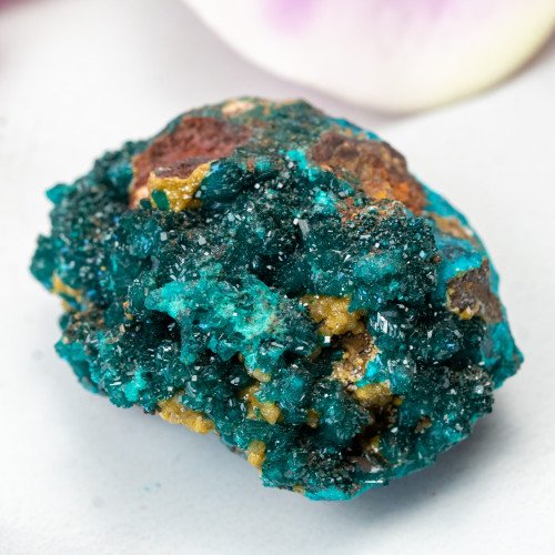Dioptase with Mimetite #3
