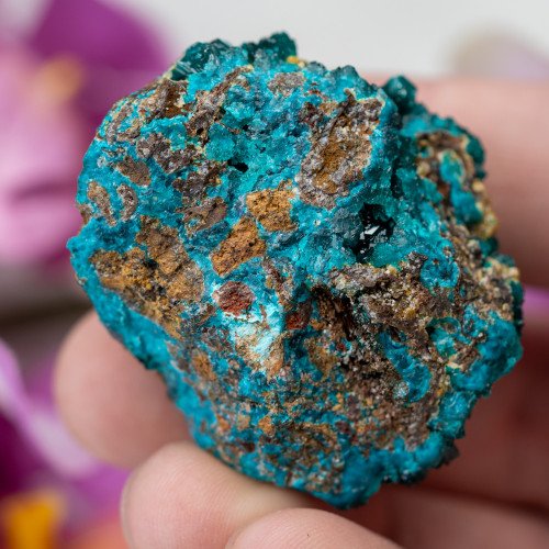 Dioptase with Mimetite #3