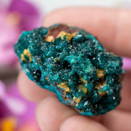Dioptase with Mimetite #3