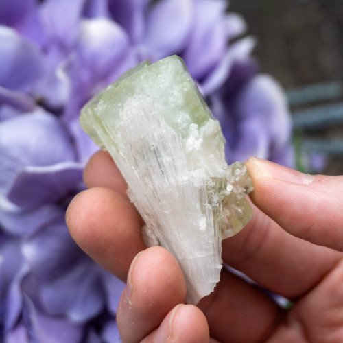 Green Apophyllite with Scolecite and Stilbite #1