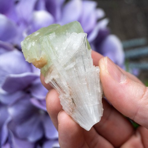 Green Apophyllite with Scolecite and Stilbite #1
