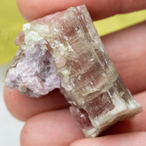 Watermelon Tourmaline on Lepidolite #1