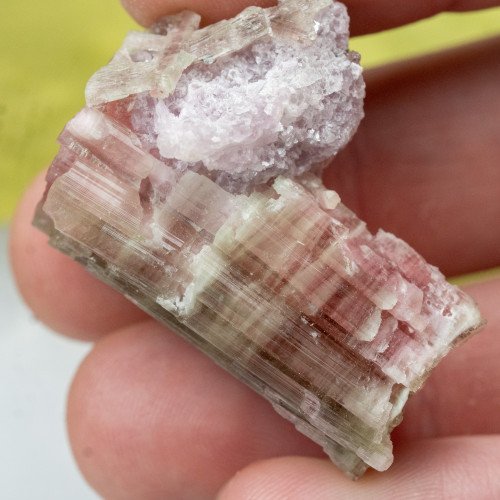 Watermelon Tourmaline on Lepidolite #1