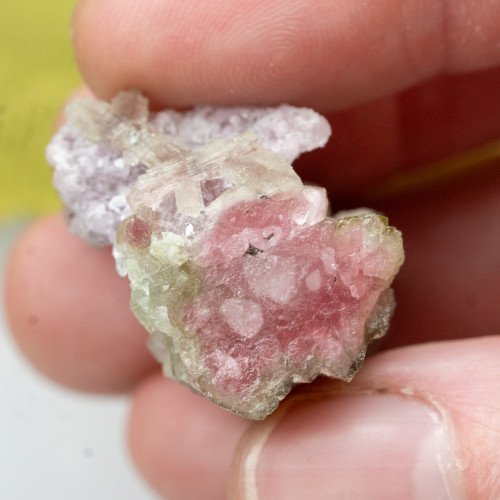 Watermelon Tourmaline on Lepidolite #1