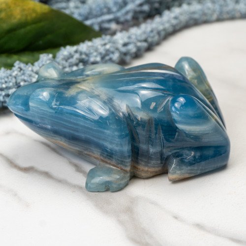 Blue Onxy Frog #1