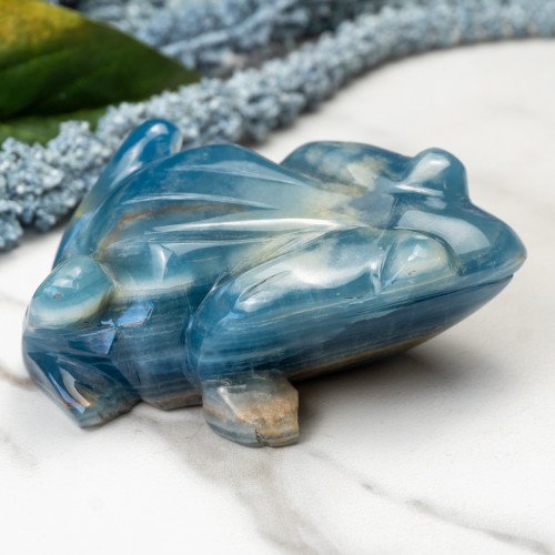 Blue Onxy Frog #1