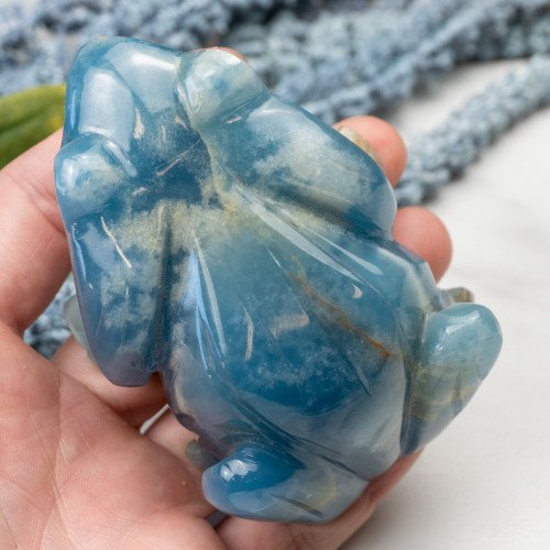 Blue Onxy Frog #1