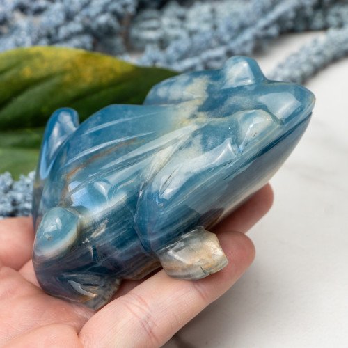 Blue Onxy Frog #1