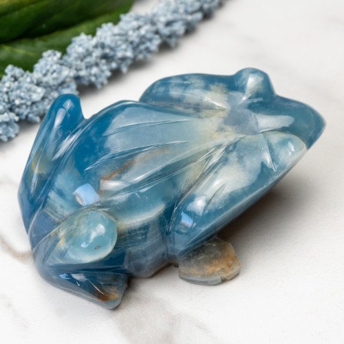 Blue Onxy Frog #1