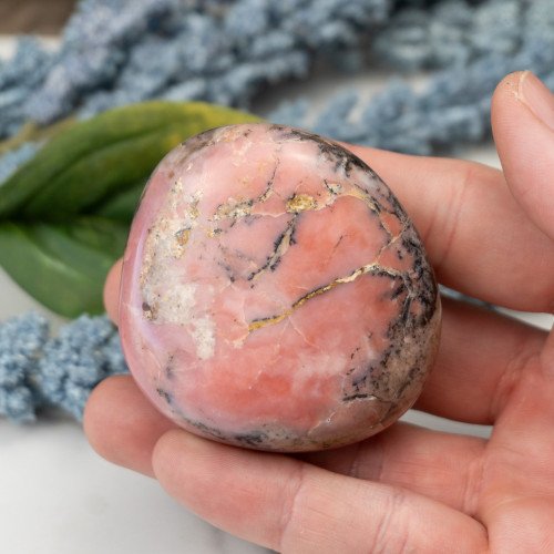 Strawberry Opal #2