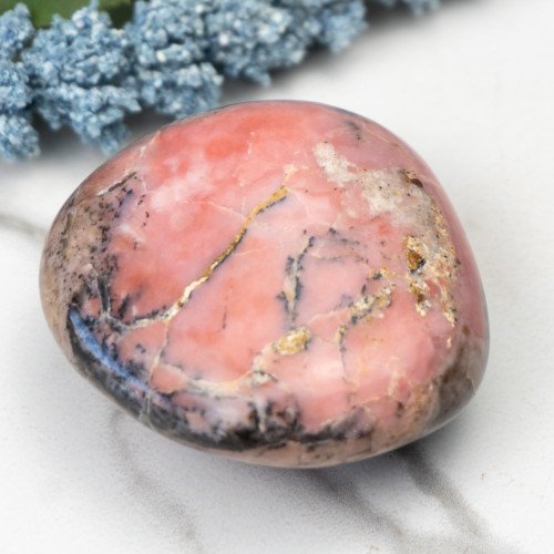 Strawberry Opal #2