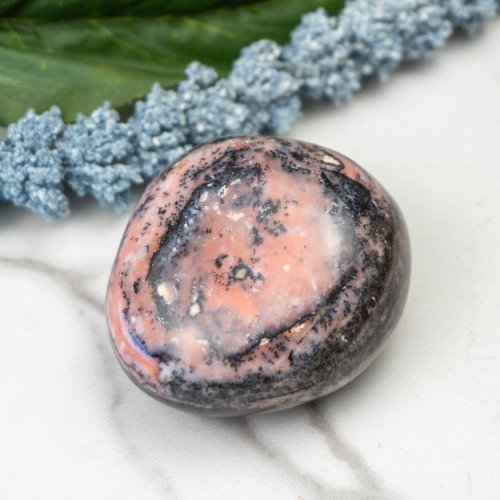 Strawberry Opal #1