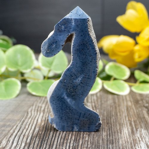 Blue Coral Slice #10