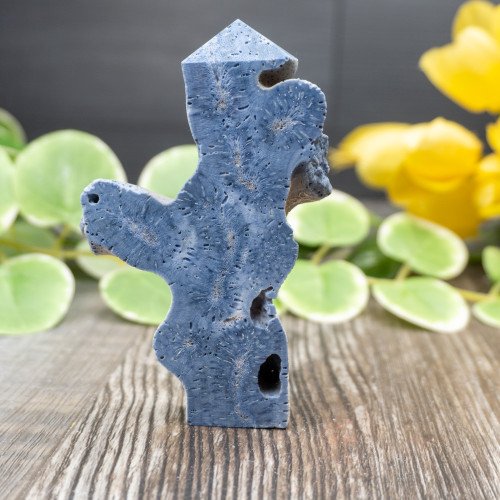 Blue Coral Slice #9