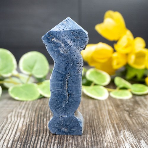 Blue Coral Slice #8