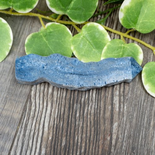Blue Coral Slice #7