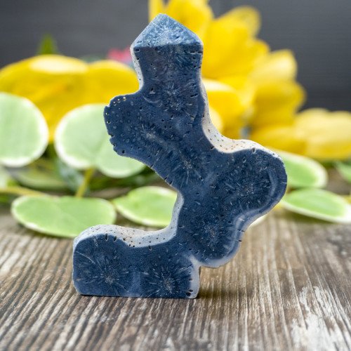 Blue Coral Slice #5