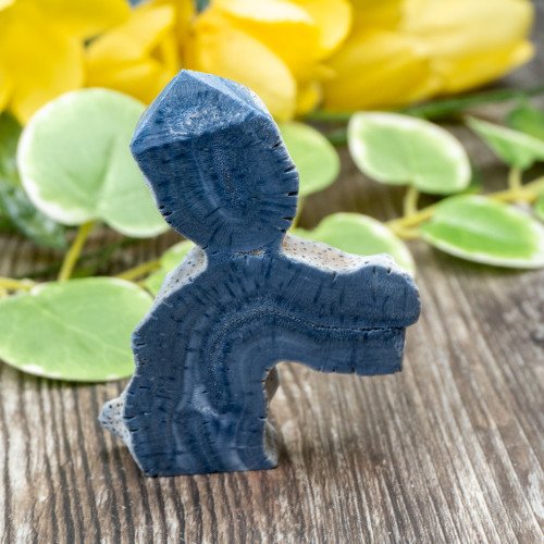 Blue Coral Slice #2
