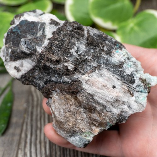 Blue Quartz in Selenite with Black Calcite #4