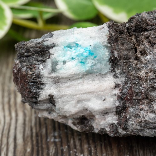 Blue Quartz in Selenite with Black Calcite #4