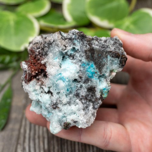 Blue Quartz in Selenite with Black Calcite #4