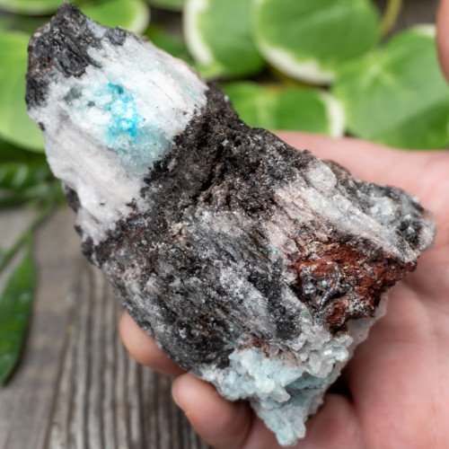 Blue Quartz in Selenite with Black Calcite #4
