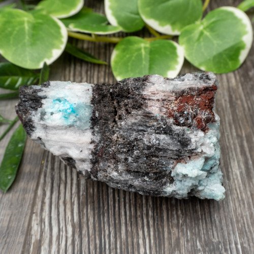 Blue Quartz in Selenite with Black Calcite #4