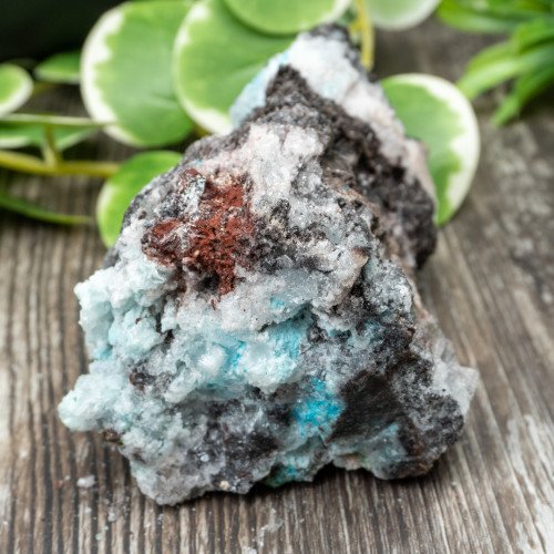 Blue Quartz in Selenite with Black Calcite #4