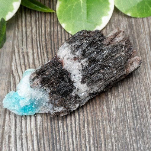 Blue Quartz in Selenite with Black Calcite #3