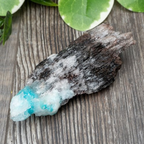 Blue Quartz in Selenite with Black Calcite #3