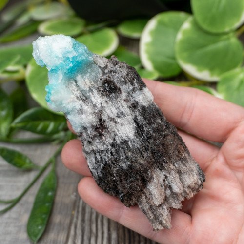 Blue Quartz in Selenite with Black Calcite #3