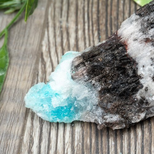 Blue Quartz in Selenite with Black Calcite #3