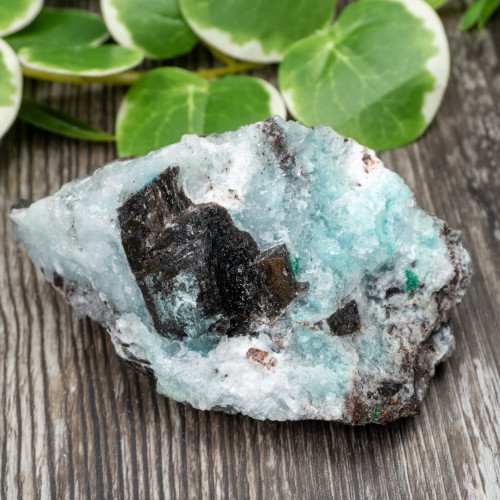 Blue Quartz in Selenite with Black Calcite #2