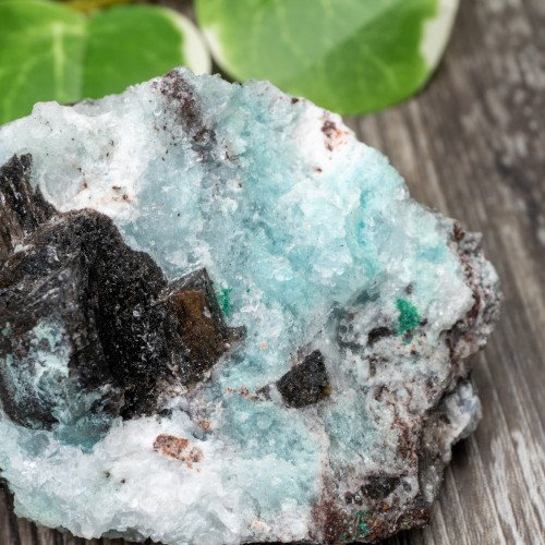 Blue Quartz in Selenite with Black Calcite #2