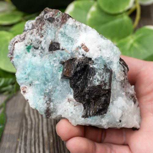 Blue Quartz in Selenite with Black Calcite #2
