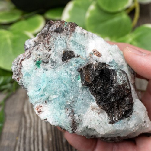 Blue Quartz in Selenite with Black Calcite #2