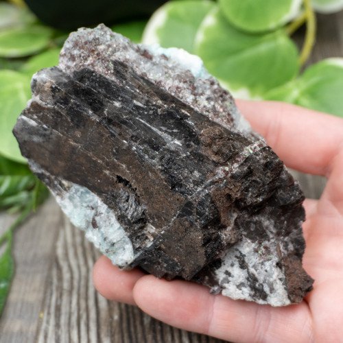 Blue Quartz in Selenite with Black Calcite #2