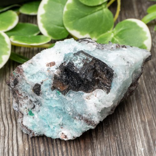 Blue Quartz in Selenite with Black Calcite #2