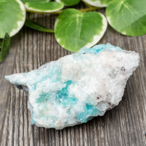 Blue Quartz in Selenite with Black Calcite #1