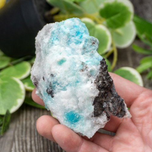 Blue Quartz in Selenite with Black Calcite #1
