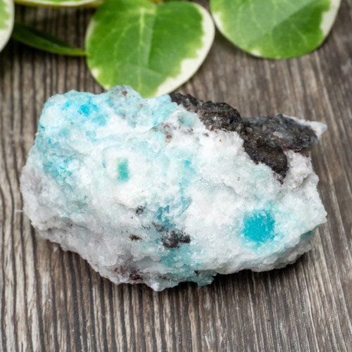 Blue Quartz in Selenite with Black Calcite #1